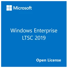 Microsoft Windows Ent LTSC 2019 Upg. SNGL OLP NL