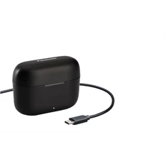 Panasonic RZ-B110WDE-K True Wireless Bluetooth fekete fülhallgató